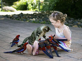 Forever friends., animal, bird, cat, girl, friend HD wallpaper