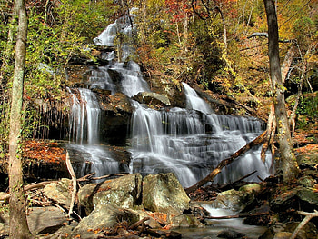 Nature, Trees, Stones, Leaves, Waterfall, Forest, Cascades HD wallpaper