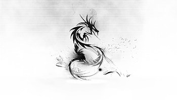 Dragon white abstract HD wallpaper