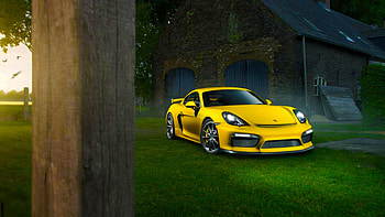 Porsche Cayman In Nature, porsche, porsche-cayman, cars HD wallpaper