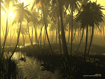 mayakulam, , beach HD wallpaper