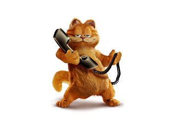 Garfield, , Cartoon cat, Px HD wallpaper