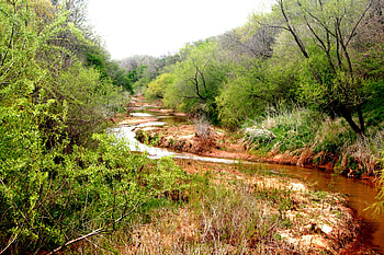 Landscape, Nature, Rivers, Trees HD wallpaper