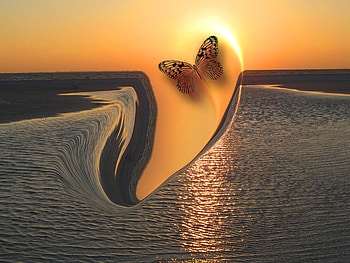 Butterfly illusion, sea, waves, illusion, reflection, butterfly, orange, water, sun HD wallpaper