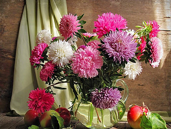 Pretty flower bouquet, still life, decoration, bouquet, flower HD wallpaper