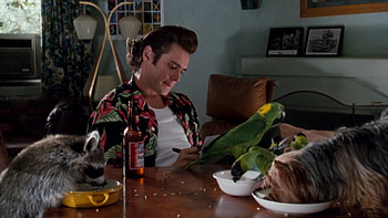 Jim Carrey, Ace Ventura, Budweiser beer, Movie prop HD wallpaper