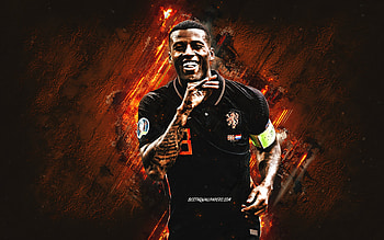 Georginio Wijnaldum, Netherlands national football team, Dutch footballer, portrait, orange stone background, football, grunge art HD wallpaper