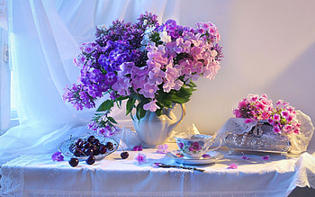 Still Life, vase, fruits, flowers, blossoms HD wallpaper