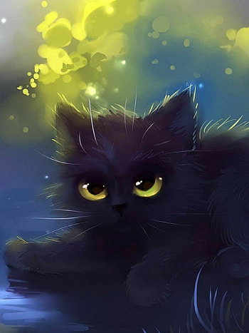 Cat , PC and mobile HD phone wallpaper