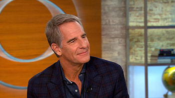 Scott Bakula, TV shows, On HD wallpaper