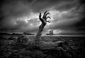 Hands up, black, wood, sky, , scotland, hand, beach HD wallpaper