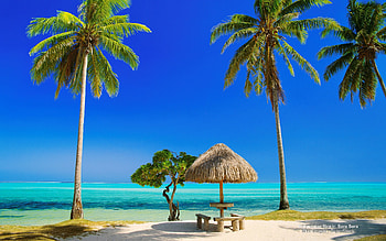 Beautiful Day at Tropical Beach HD wallpaper