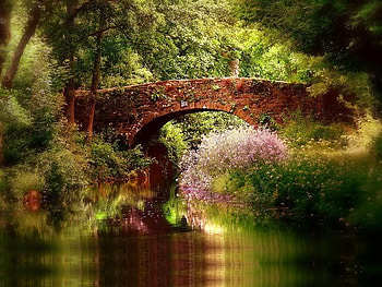 Countryside Bridge, bridge, trees, country, water HD wallpaper