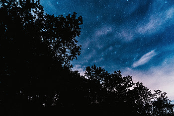 Nature, Trees, Stars, Night, Clouds, Dark, Starry Sky HD wallpaper