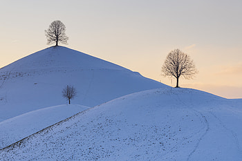Winter, Nature, Trees, Snow, Hills HD wallpaper