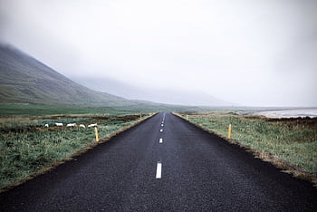 A misty road in rural Iceland offers a breathtaking view with its lush grass and mountains. HD wallpaper