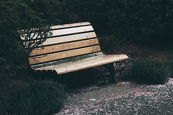 Nature, Trees, Park, Foliage, Bench HD wallpaper