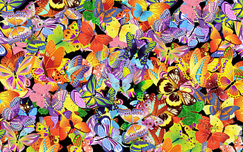 Butterfly World, butterflies, summer, butterfly, beautiful, Viola Tricolor, spring HD wallpaper