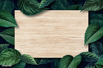premium psd of Blank wooden board on a metallic green leaves. Powerpoint background design, Leaf texture, Background design HD wallpaper
