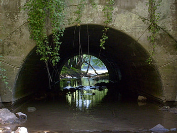 a little beauty in logansport in,taken by bob deweese, creek, tunel, rivers, trails HD wallpaper