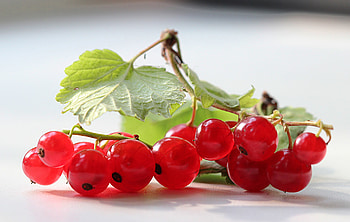 Food, Leaves, Currant, Branch, Greens HD wallpaper
