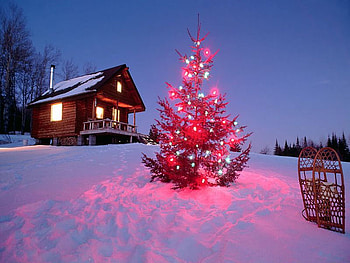 Christmas Night, winter, night, scenery, christmas HD wallpaper