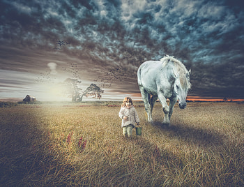 Miscellanea, Miscellaneous, Field, Stroll, hop, Child, Horse HD wallpaper