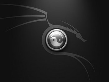 Black Dragon, dragon, black, symbol HD wallpaper