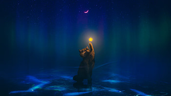 A Charming Cat Reaches For A Cute Star, cat, artist, artwork, digital-art HD wallpaper