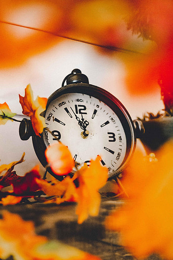 Leaves, Clock, Miscellanea, Miscellaneous, Clock Face, Dial HD phone wallpaper