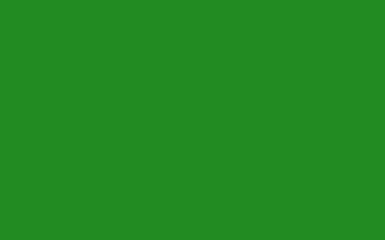 Forest Green For Web Solid Color Background HD wallpaper