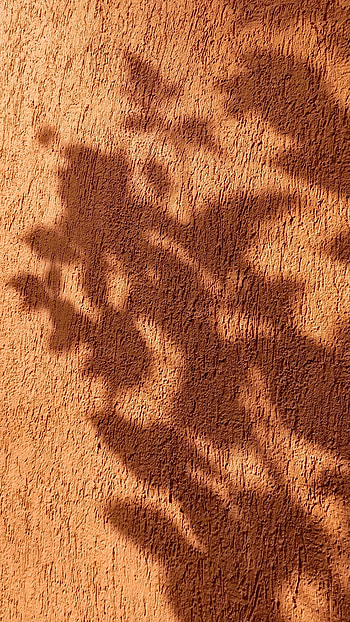 Brown, Brown Shadow HD phone wallpaper