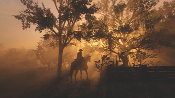Red Dead Redemption Video Game , red-dead-redemption-2, 2018-games, games HD wallpaper