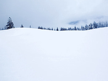 Winter, Snow, Minimalism, Field, Ate, Cover HD wallpaper