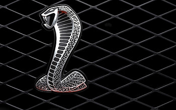 Ford Mustang SVT Cobra Logo HD wallpaper