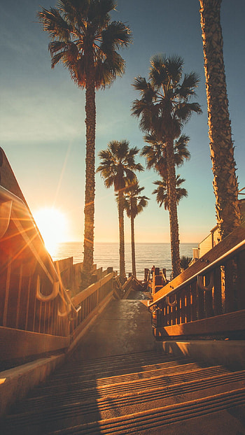 Laguna Beach, Californication, California dreaming, Places to go HD phone wallpaper