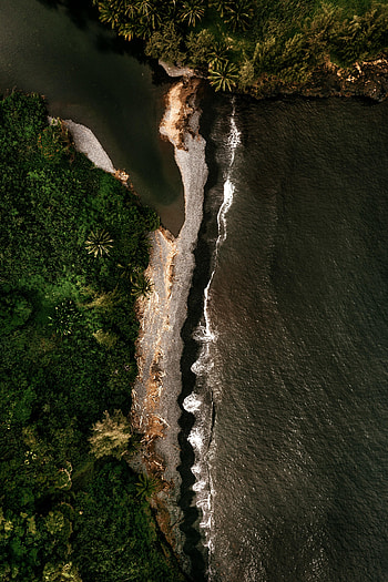 Nature, Trees, Sea, View From Above, Coast, Island HD phone wallpaper