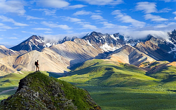 Denali National Park, nature, park, national-park HD wallpaper