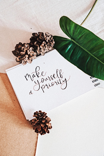 Cones, Plant, Words, Inscription, Advice, Lettering HD phone wallpaper