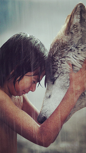 The Jungle Book movie, , Adventure awaits, Enchanting journey HD phone wallpaper