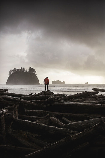 Sea, Shore, Bank, Silhouette, Miscellanea, Miscellaneous, Human, Person, Logs HD phone wallpaper