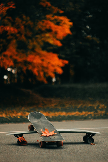 Sports, Autumn, Leaves, Asphalt, Skateboard, Skate HD phone wallpaper