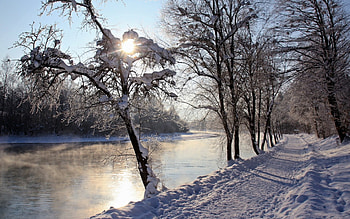 A river -winter, a path, winter, A river, a tree HD wallpaper