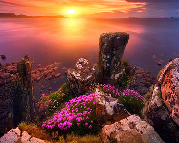 Beautiful sunset, sky, nature, water, rocks, sunset, ocean HD wallpaper