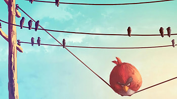 Angry Birds Funny, angry-birds, artist, artwork, digital-art, funny HD wallpaper