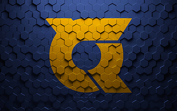 Flag of Tokushima, honeycomb art, Tokushima hexagons flag, Tokushima, 3d hexagons art, Tokushima flag HD wallpaper