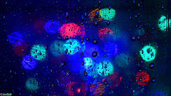 Rain, rain, nature HD wallpaper