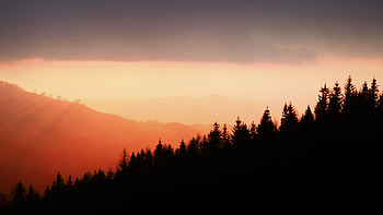Nature, Trees, Sunset, Sky, Fog, Silhouettes, Slope HD wallpaper
