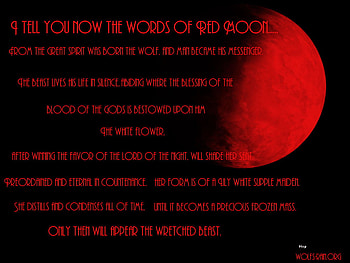 words red moon, animal, words, wolves, wisdom, wolf, red moon HD wallpaper