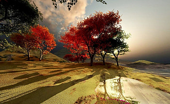 Colorful morning, color, expression, , new HD wallpaper